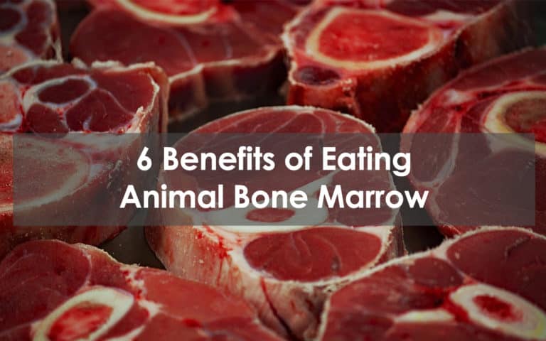 benefits of eating animal bone marrow