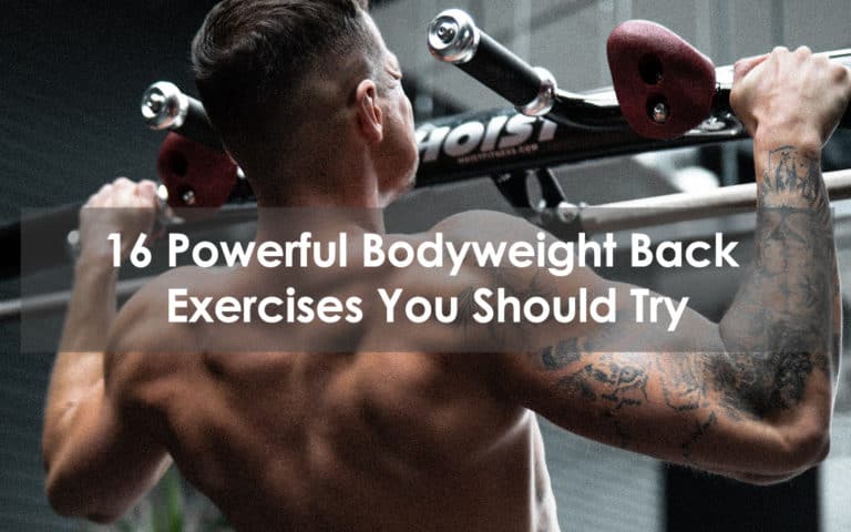 bodyweight back exercises