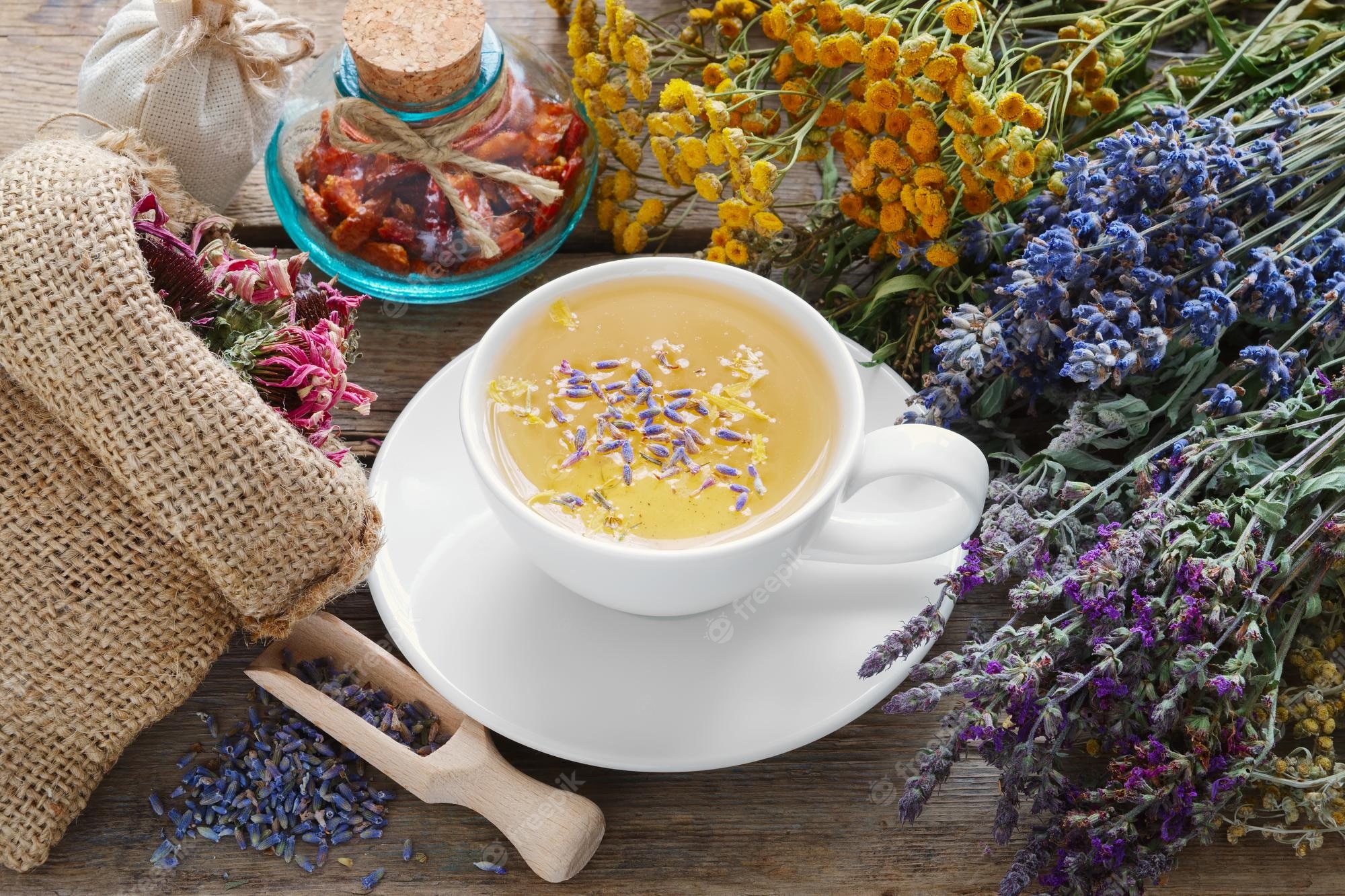 bunch medicinal herbs cup healthy tea bag dry healthy coneflowers herbal medicine 629370 315