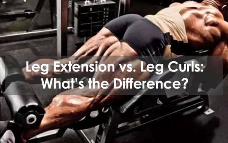 leg extension vs leg curls