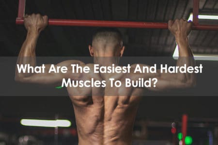 what are the easiest and hardest muscles to build