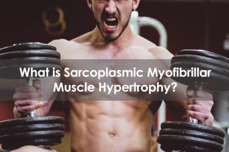 What is Sarcoplasmic Myofibrillar Muscle Hypertrophy
